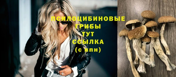 ГАЛЛЮЦИНОГЕННЫЕ ГРИБЫ Алексин