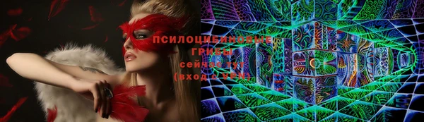 ГАЛЛЮЦИНОГЕННЫЕ ГРИБЫ Алексин