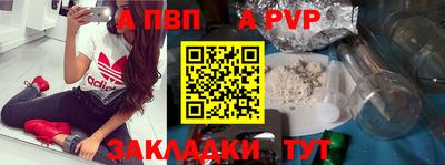 амф Гатчина