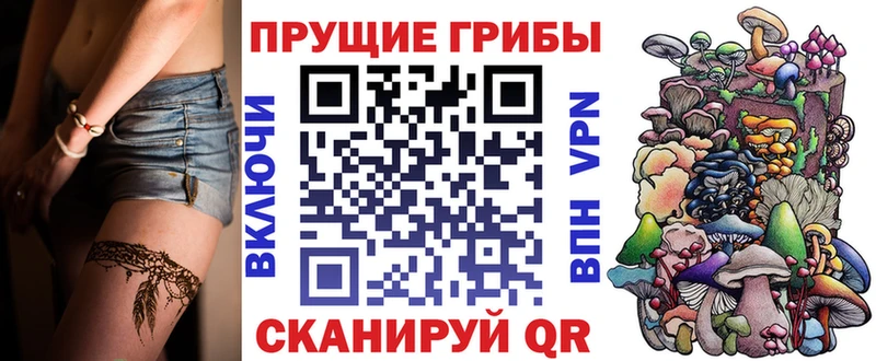 где можно купить   Ейск  mega онион  Псилоцибиновые грибы Cubensis 