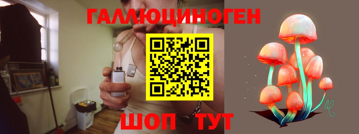 Псилоцибиновые грибы Magic Shrooms Ейск